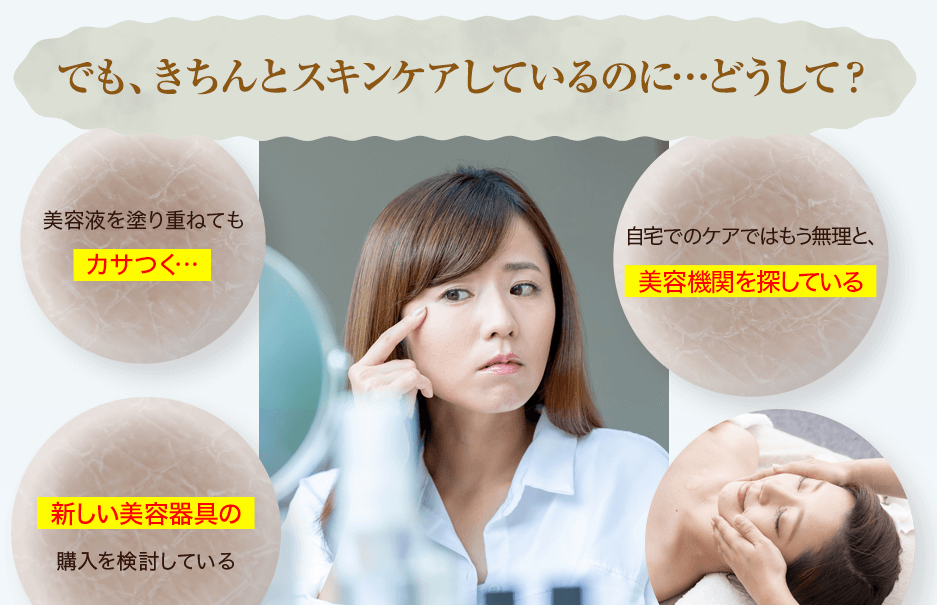 サンプルサイト