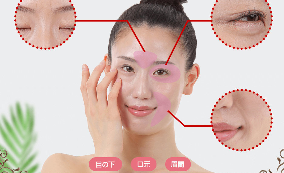 サンプルサイト