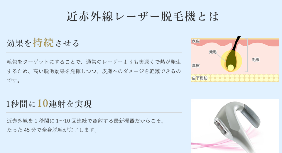 サンプルサイト